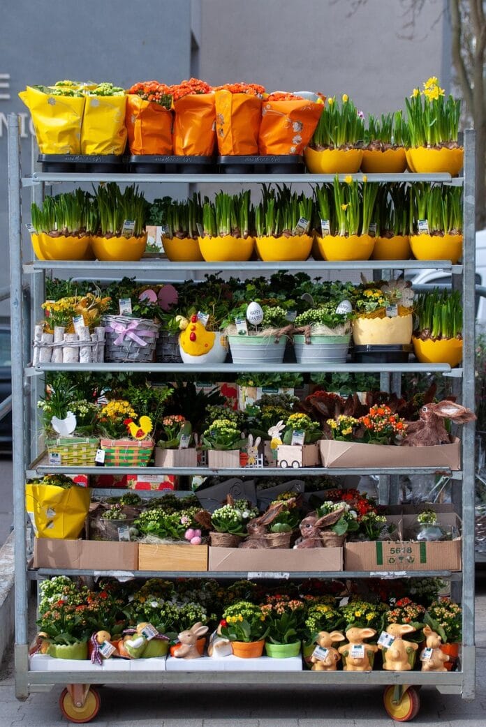 wal_172619-shelf-7122368_1280